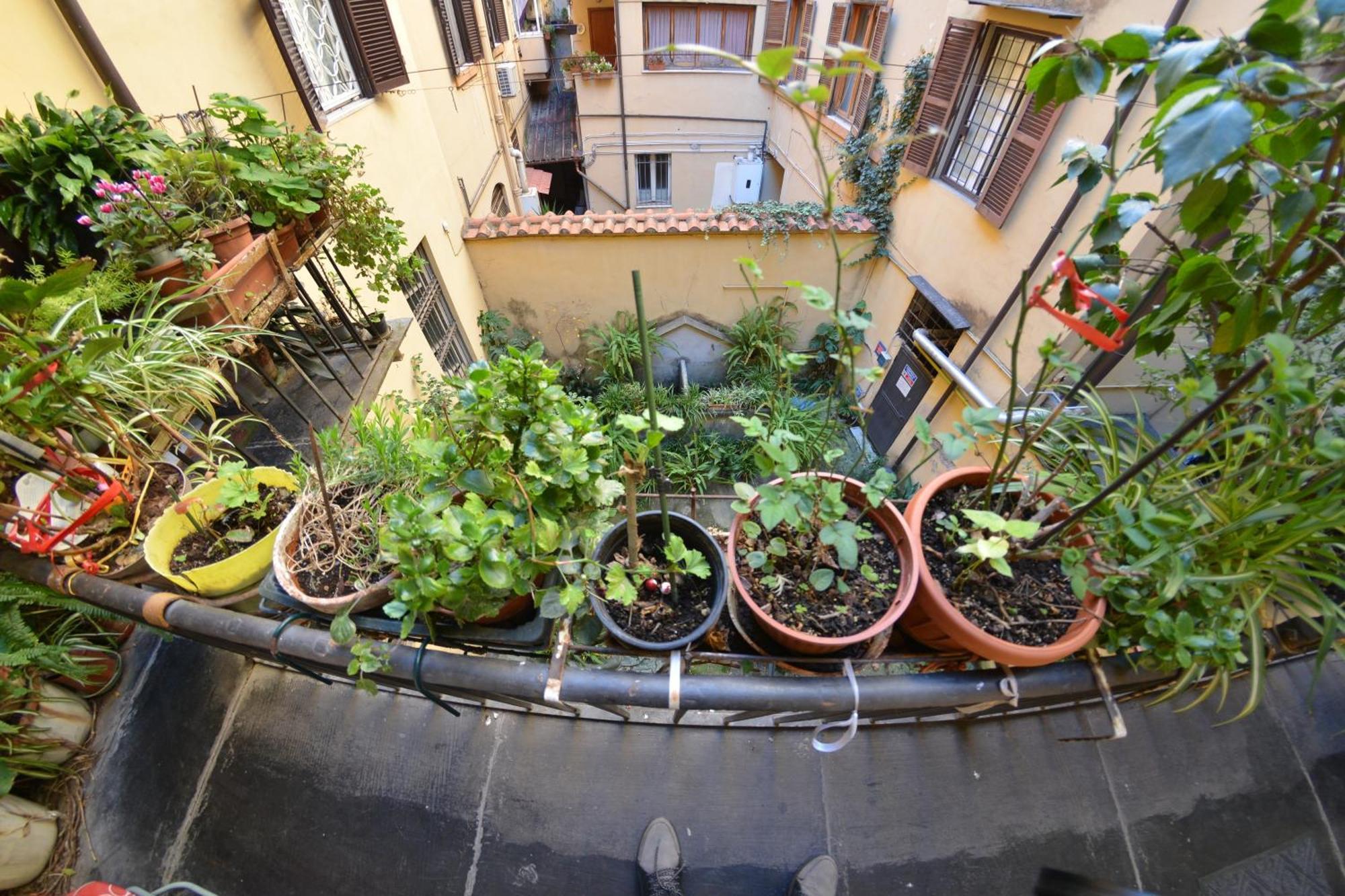 Charme De Rome Vatican Apartment Eksteriør billede